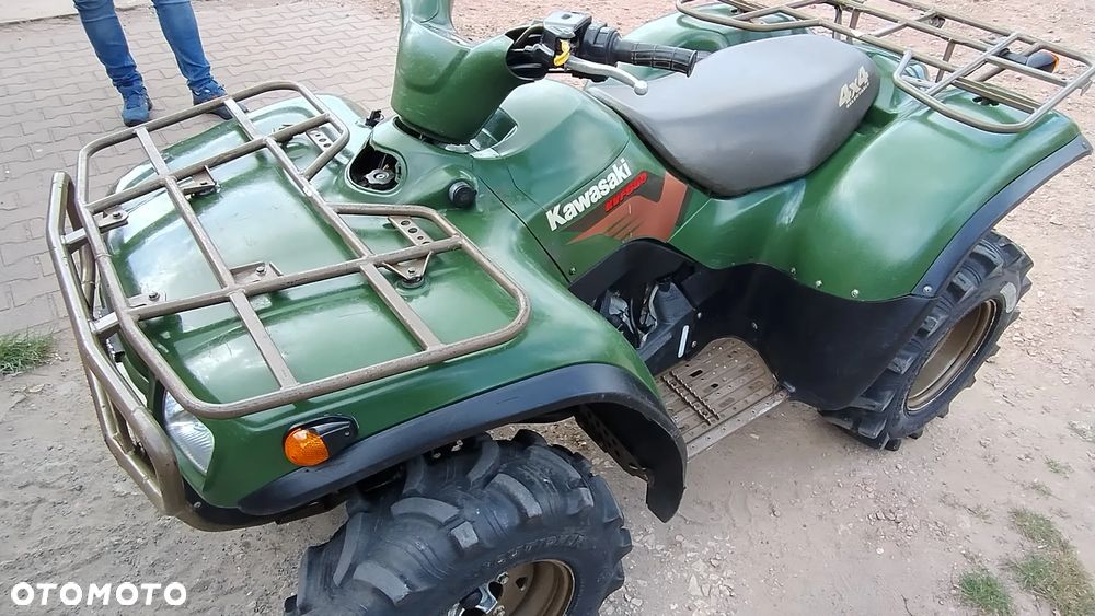 Kawasaki Brute Force - 10