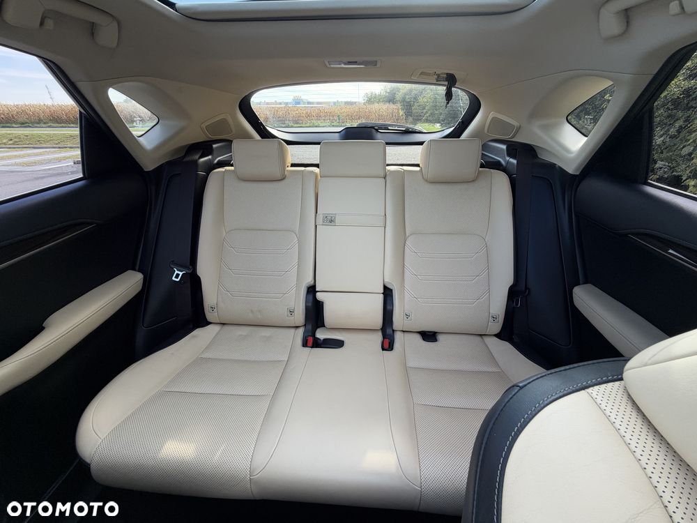 Lexus NX - 16