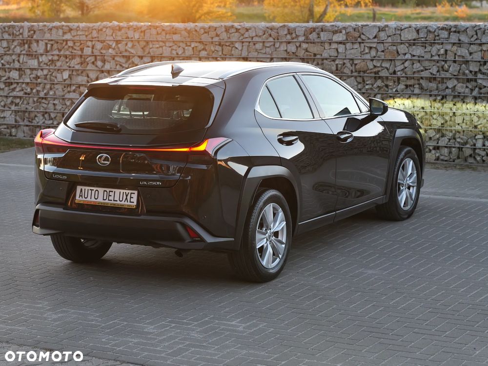 Lexus UX 250h GPF Elegance 2WD - 6