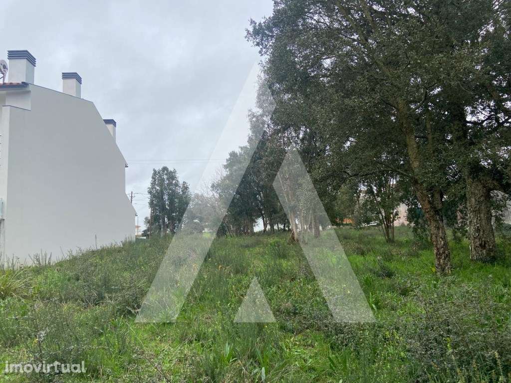 Terreno em Fermentelos - Grande imagem: 3/13