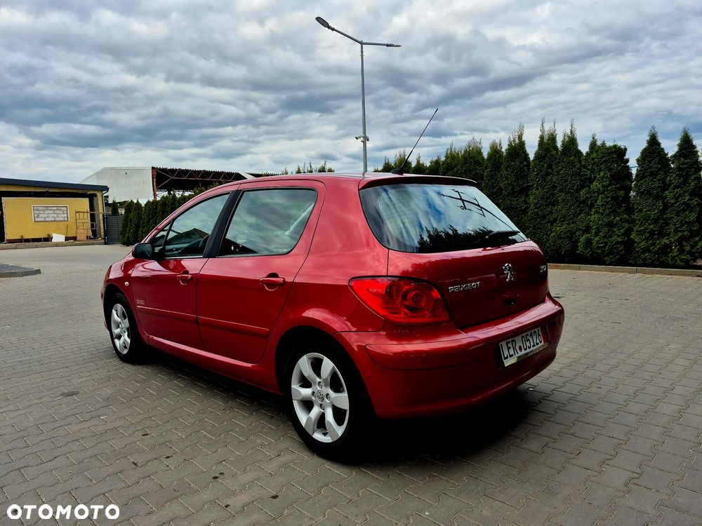 Peugeot 307 - 7