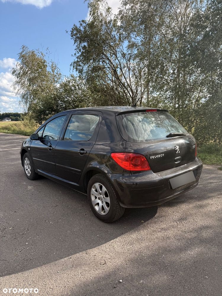 Peugeot 307 1.6 - 6