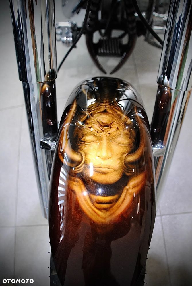 Harley-Davidson Softail - 13