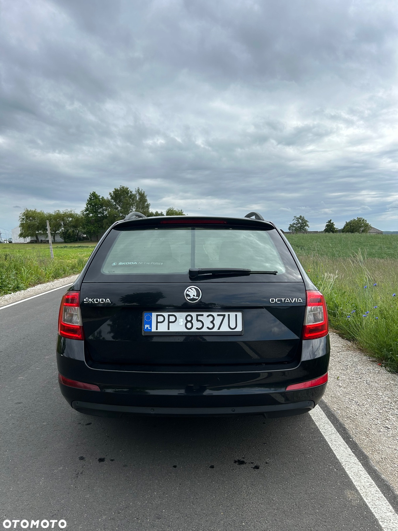 Skoda Octavia 1.4 TSI Active - 6