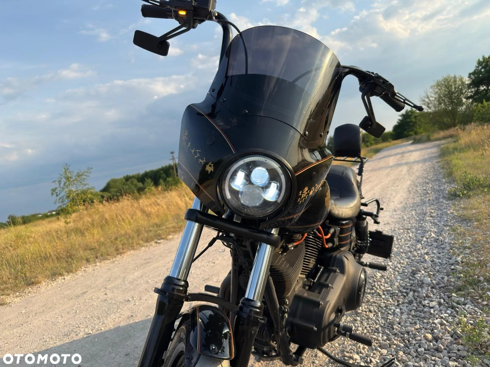 Harley-Davidson Dyna Low Rider - 6