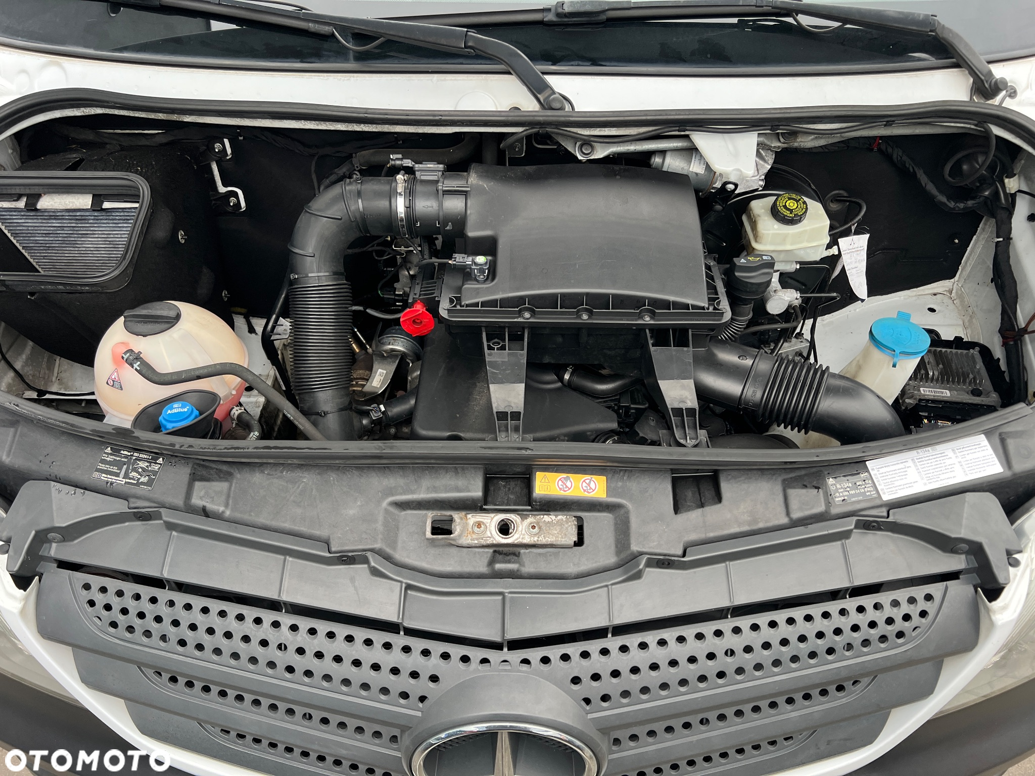 Mercedes-Benz Sprinter - 23