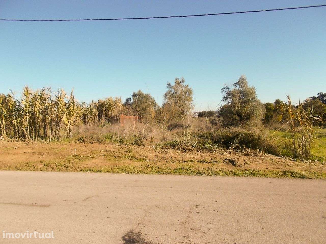 Terreno de 3Ha com Possibilidade de Lotear - Grande imagem: 4/10