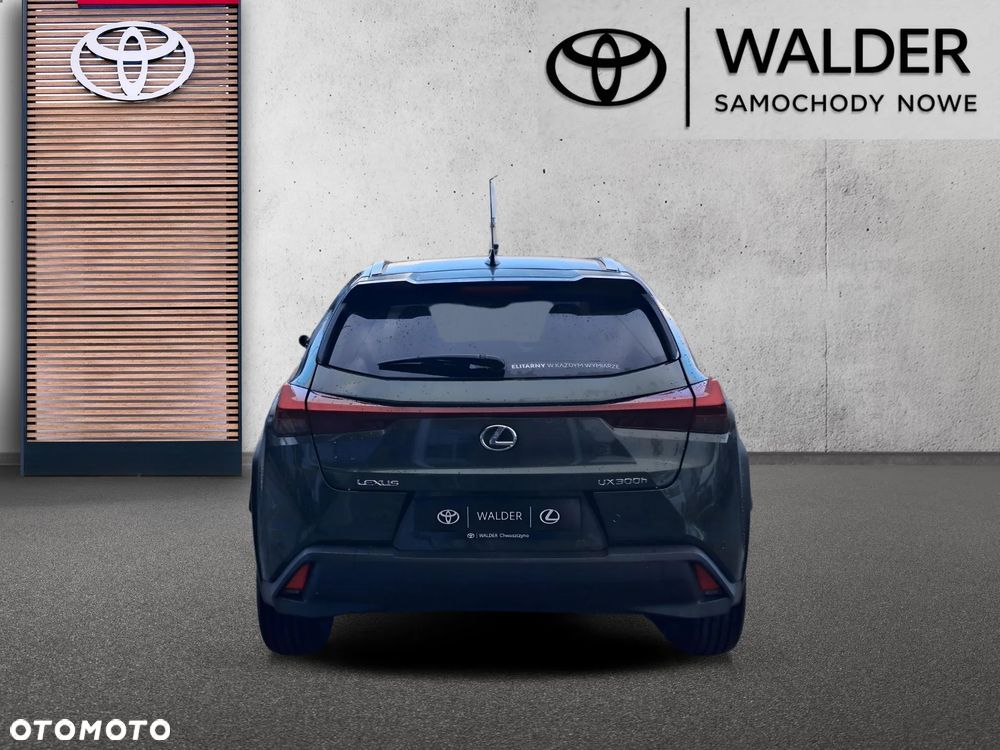 Lexus UX 300h Business - 4