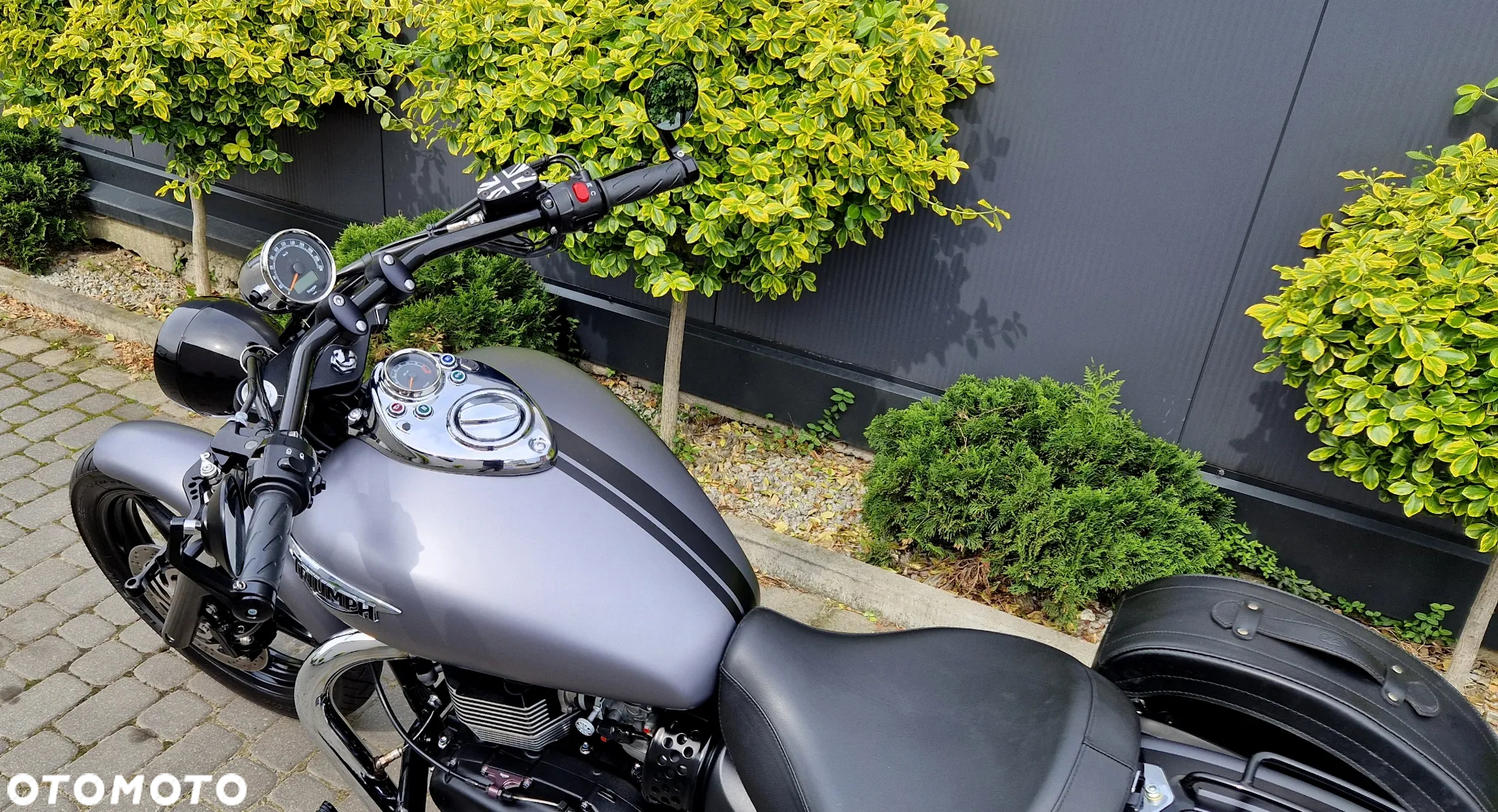 Triumph Speedmaster - 24