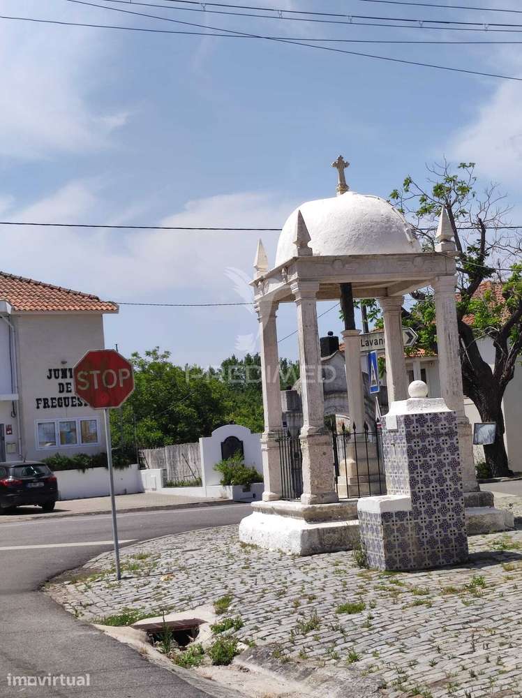 Terreno com 2 Frentes, na  Sôsa (Vagos) - Grande imagem: 5/5