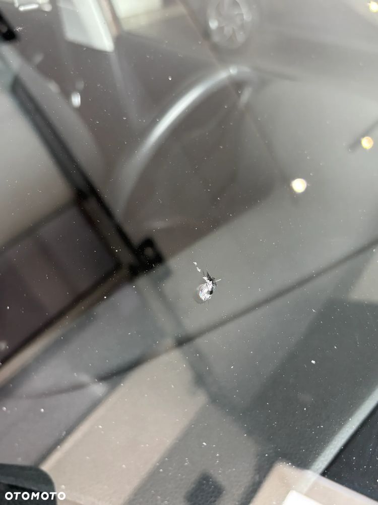 Volkswagen Polo - 14
