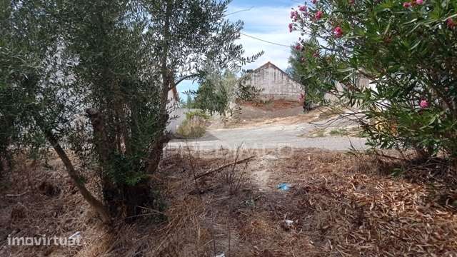 Ruína localizada na Barragem de Montargil - Grande imagem: 3/14