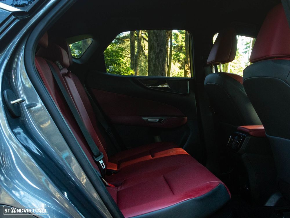 Lexus NX 350h Executive+ - 13