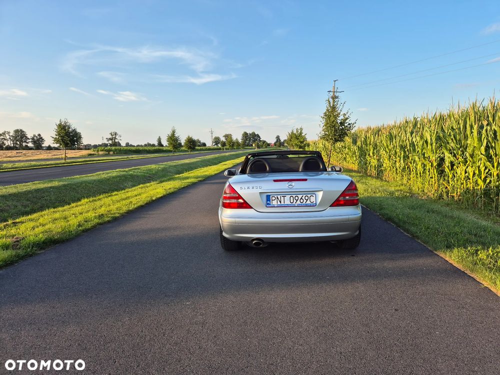 Mercedes-Benz SLK - 6