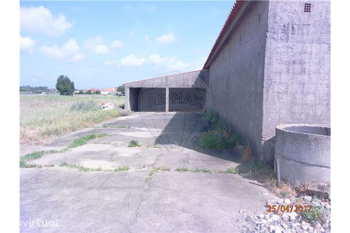 TERRENO - VENDA CARVIDE - Grande imagem: 2/13