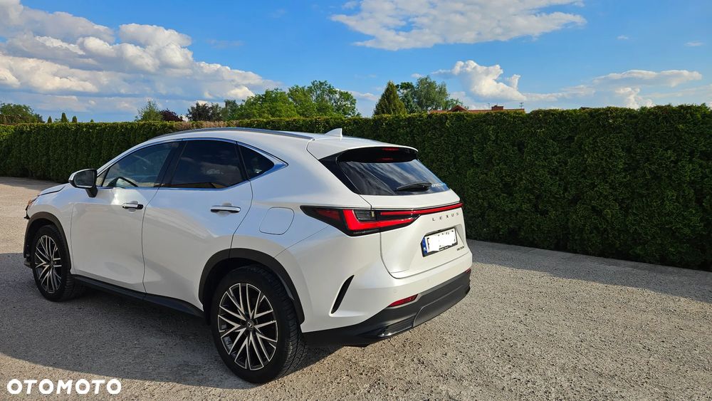 Lexus NX 350h Prestige AWD - 6