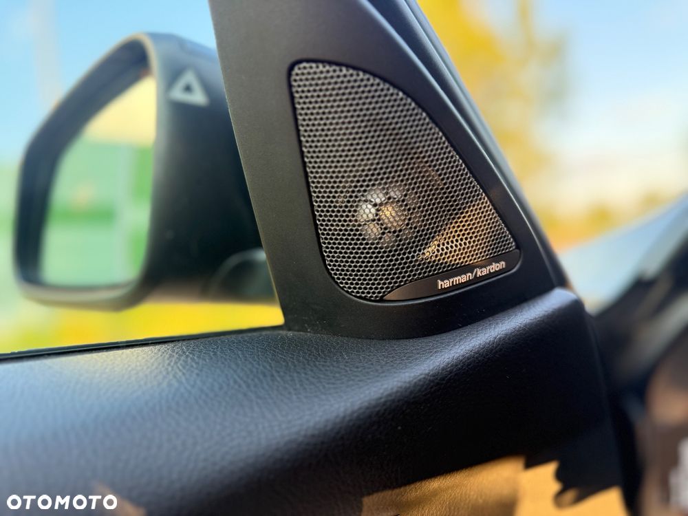 BMW Seria 3 318d Advantage - 16