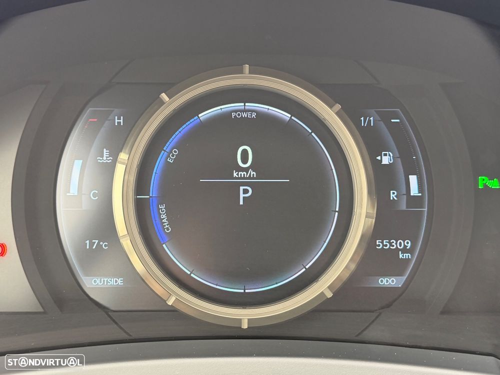 Lexus RC 300h F Sport - 10