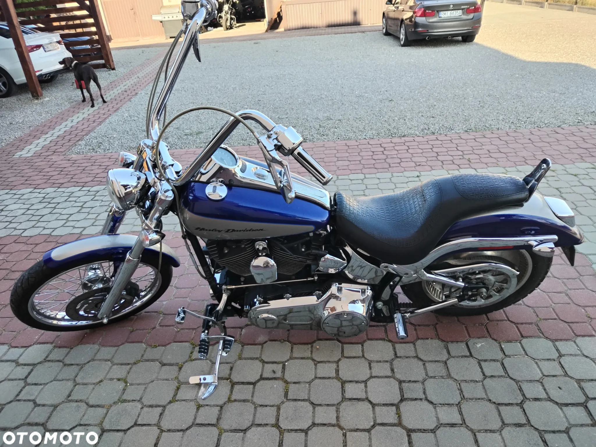 Harley-Davidson Softail - 3