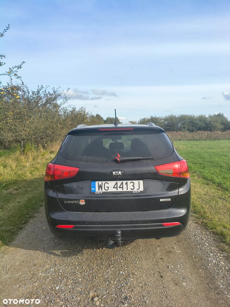 Kia Ceed 2015 photo 3