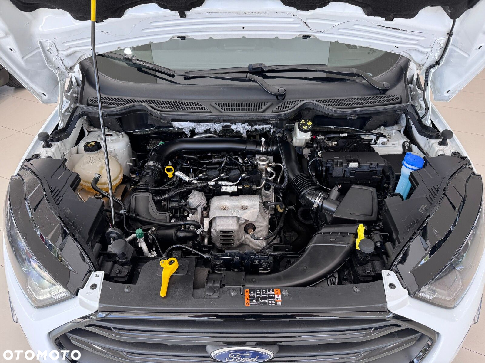 Ford EcoSport 1.0 EcoBoost GPF Active ASS - 19