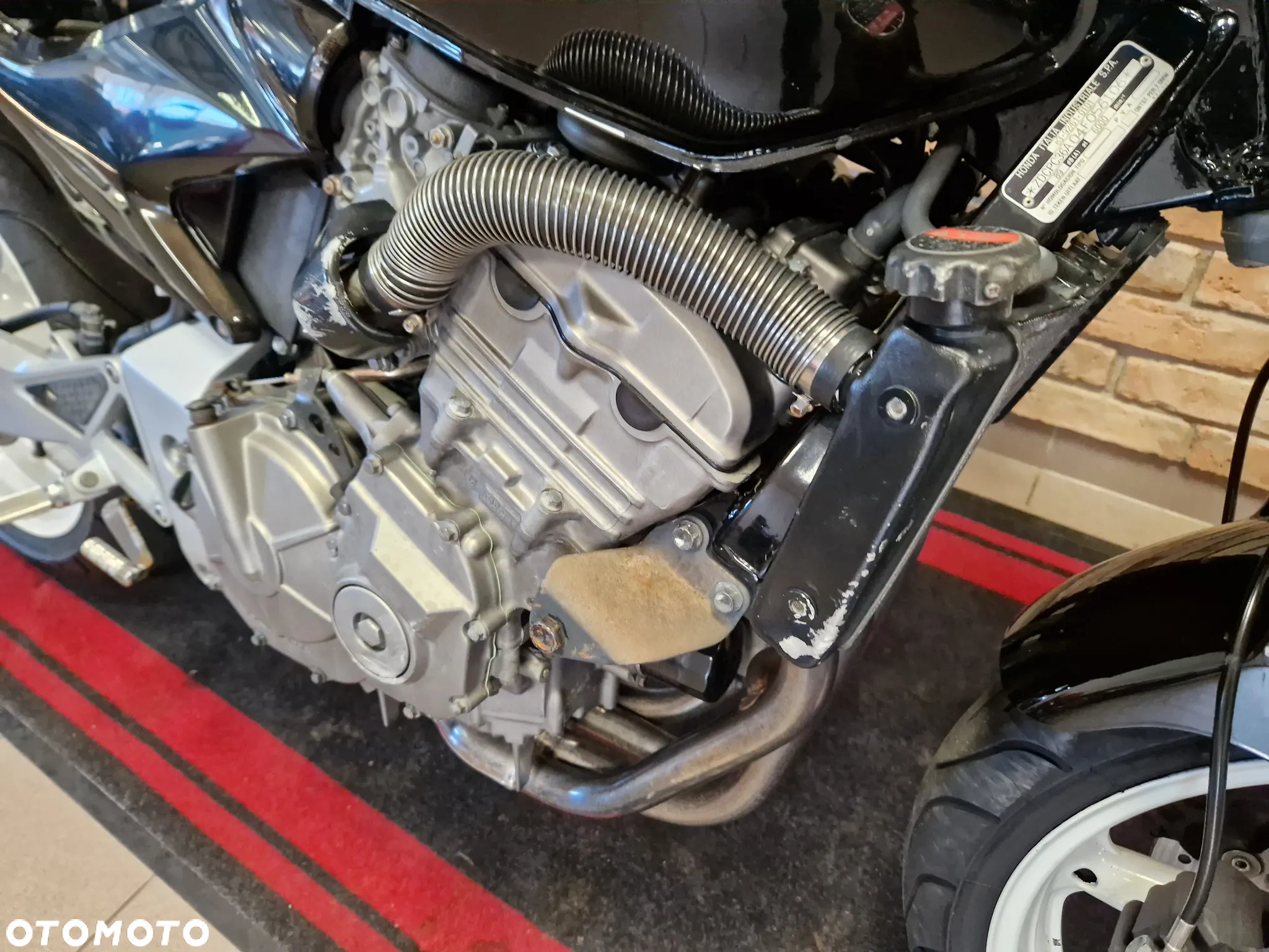 Honda Hornet - 17