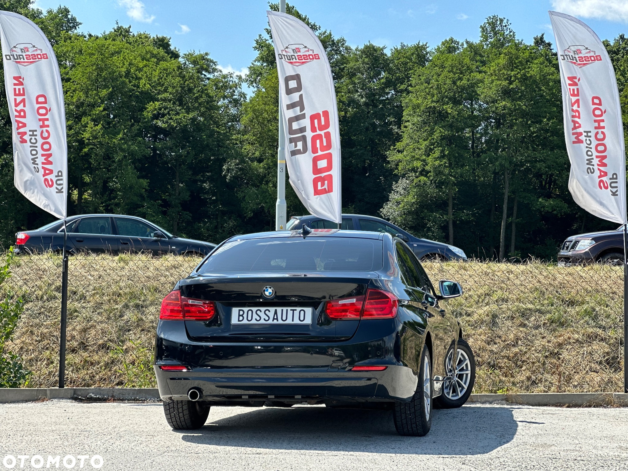 BMW Seria 3 318d - 6
