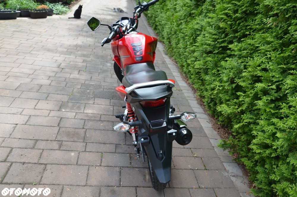 Honda CBF - 8