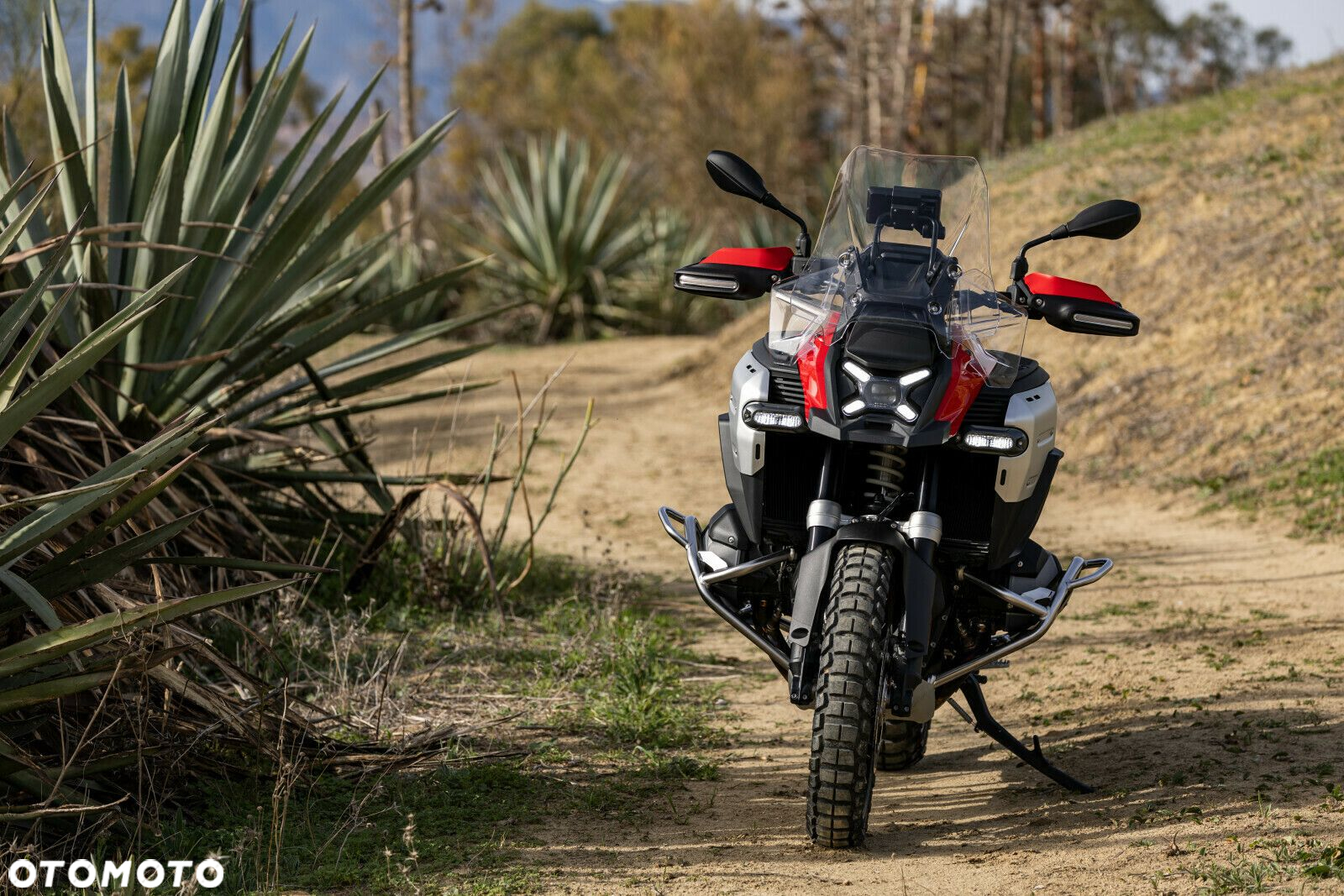 BMW R - 6