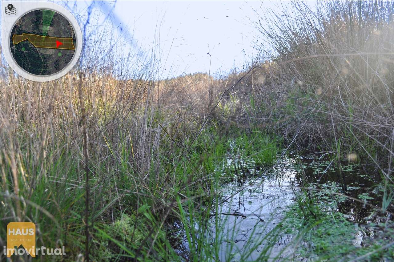 Terreno com 26.000 m² à venda em Castelo Branco. - Grande imagem: 5/23