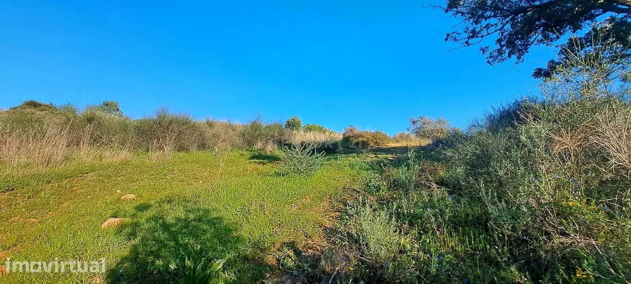 Terreno Rústico à Venda - Oportunidade Única perto de Albufeira! - Grande imagem: 3/11