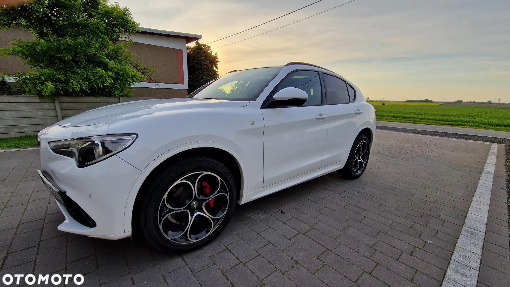 Alfa Romeo Stelvio 2.0 Turbo TI Q4 - 12