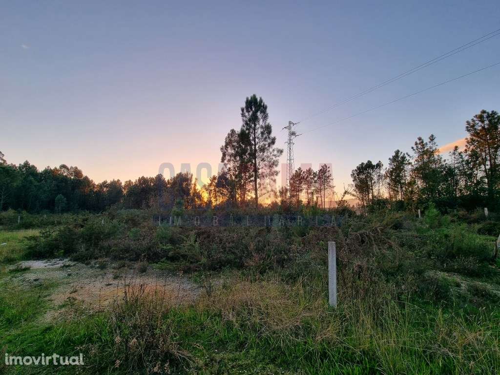 Terreno de construção em Ucha - Barcelos - Grande imagem: 5/11