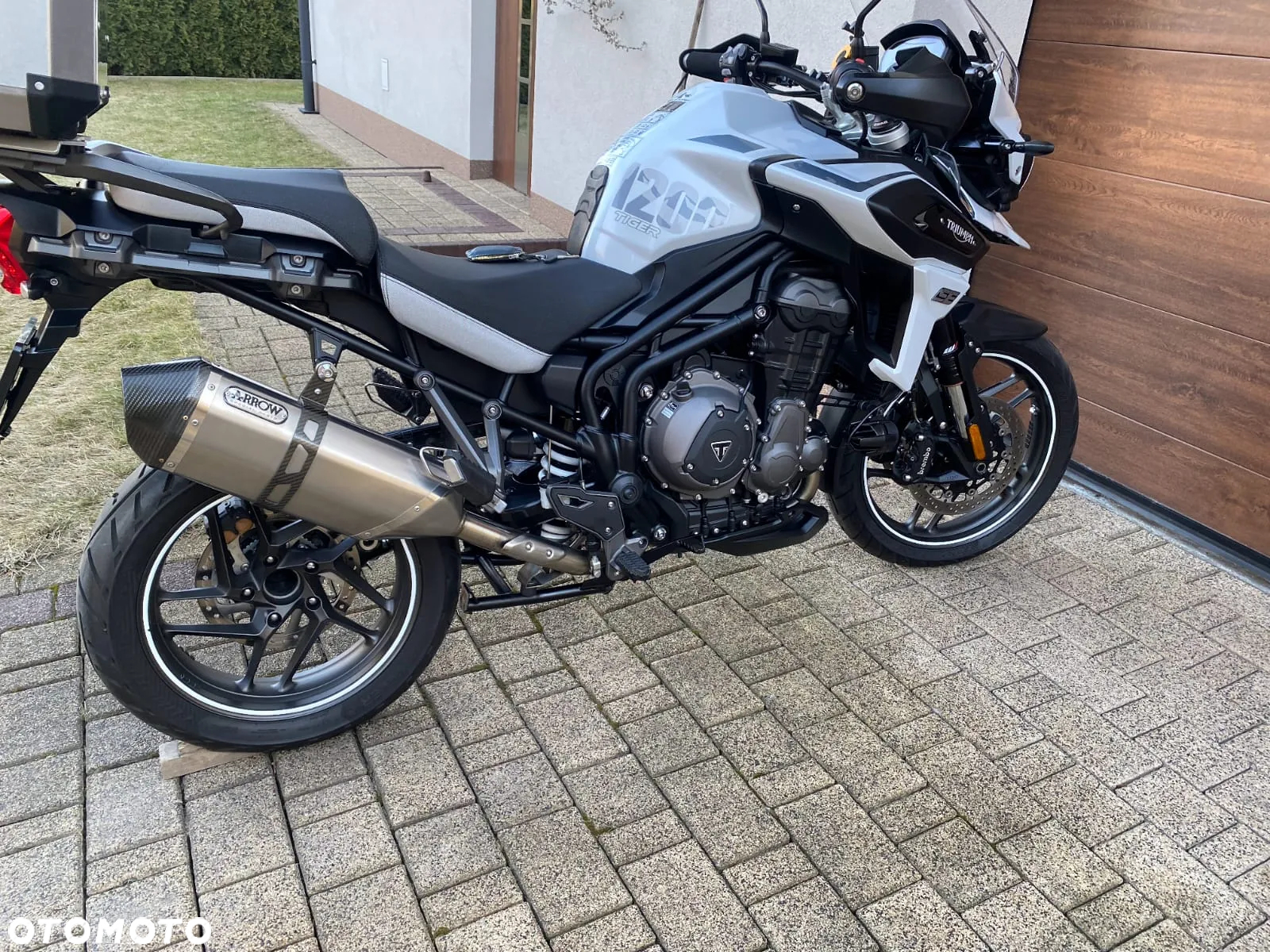 Triumph Tiger - 2