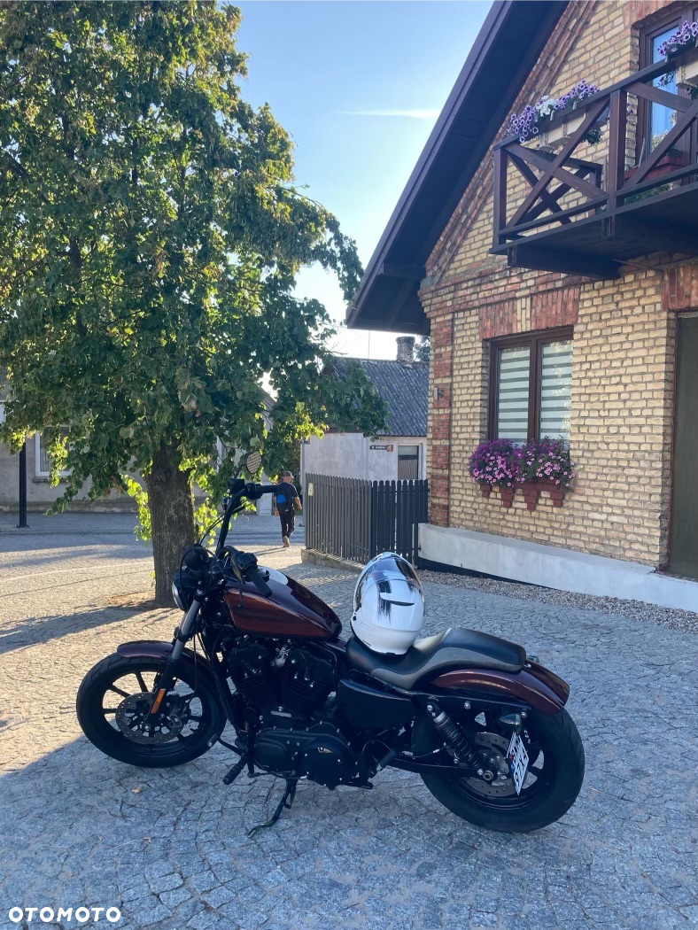 Harley-Davidson Sportster Iron 1200 - 16