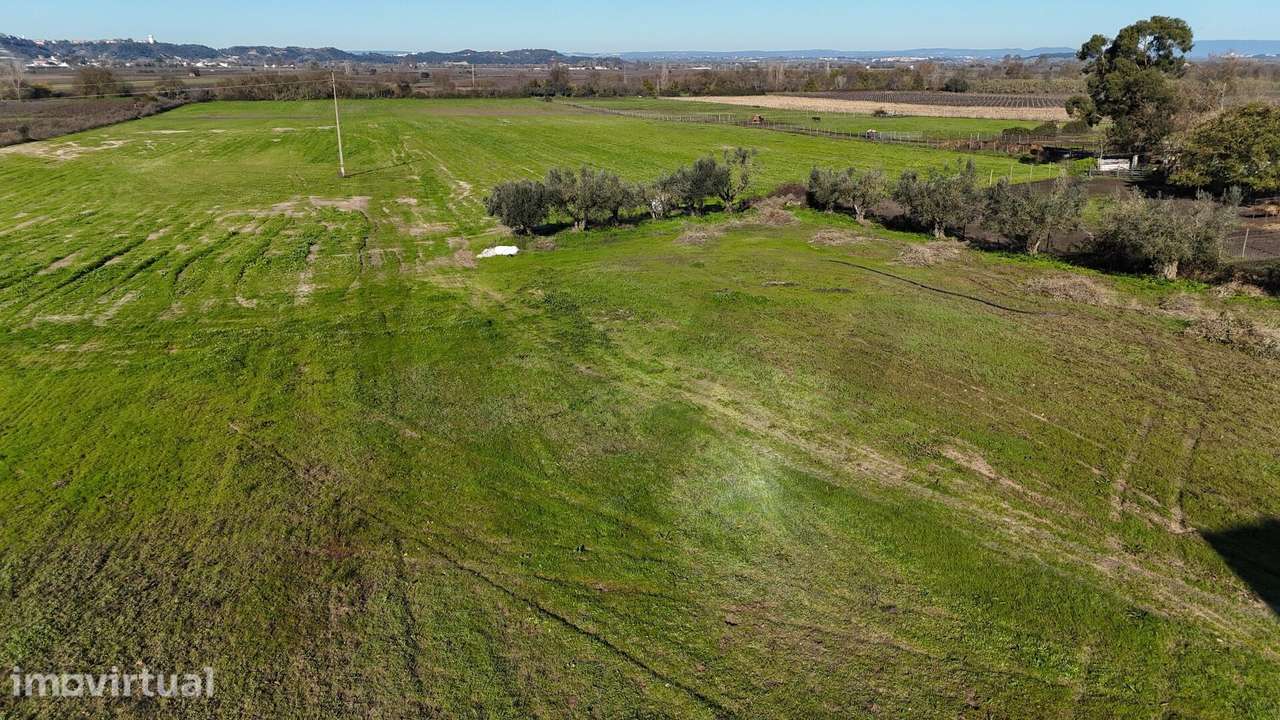 Terreno para construção - Oportunidade de Investimento no Centro de Al - Grande imagem: 5/15