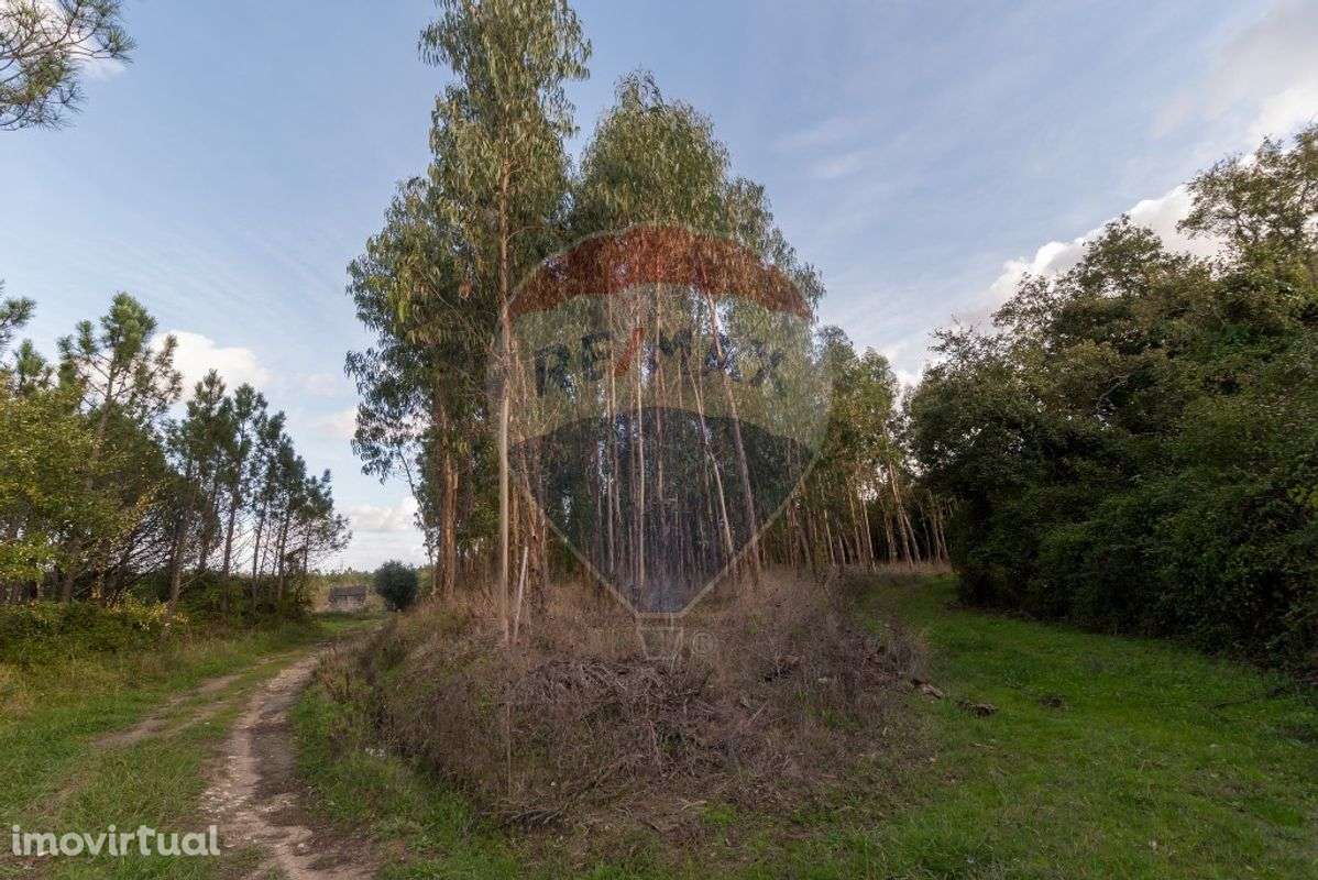 Terreno  para venda - Grande imagem: 2/13