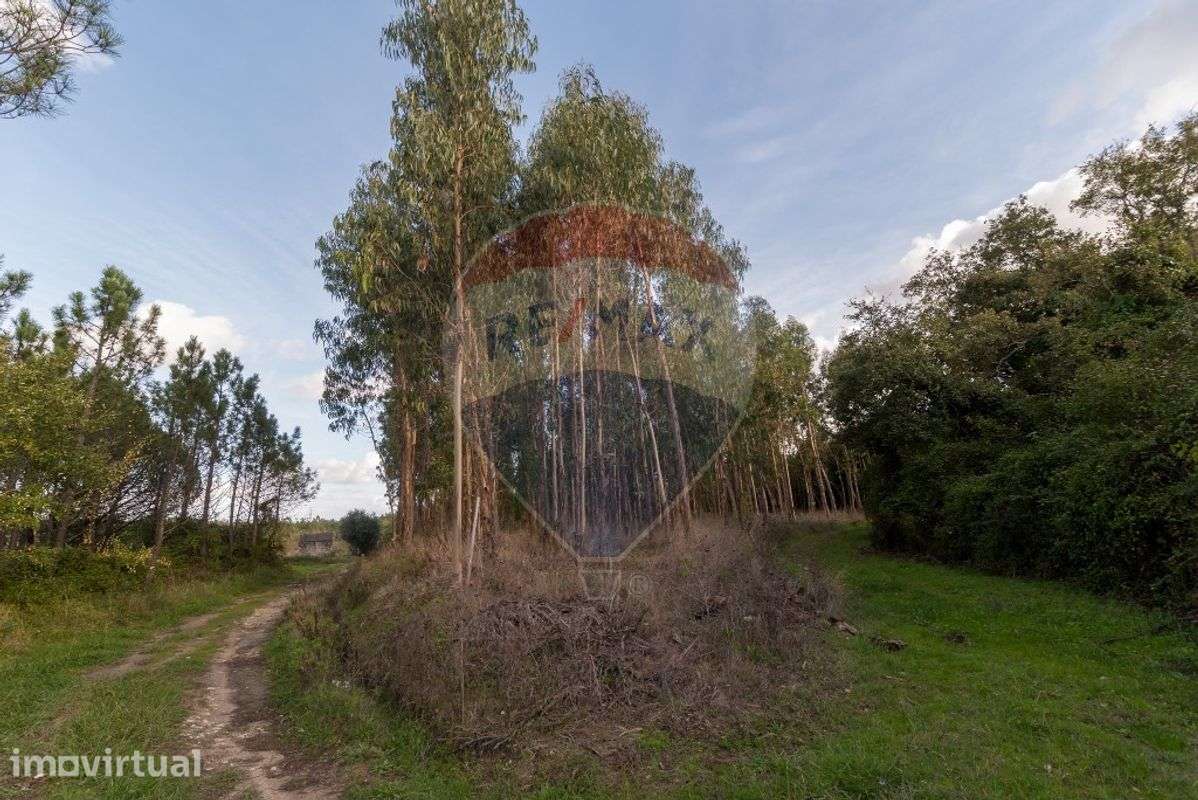 Terreno  para venda - Grande imagem: 2/13