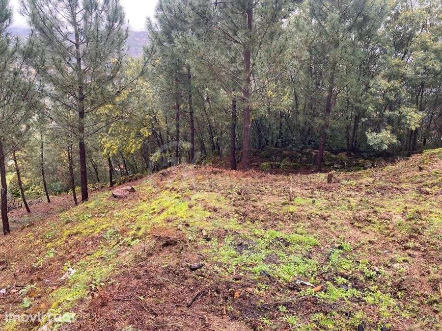 Parcela de Terreno em Paredes de Viadores - Grande imagem: 3/8