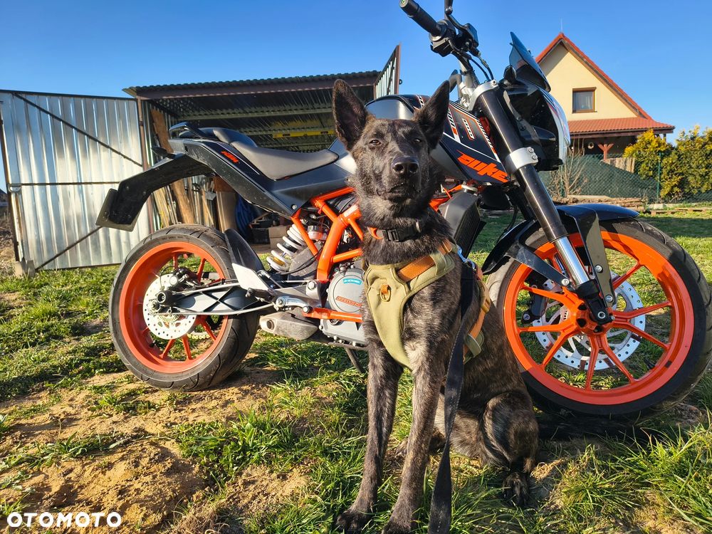 KTM Duke - 18