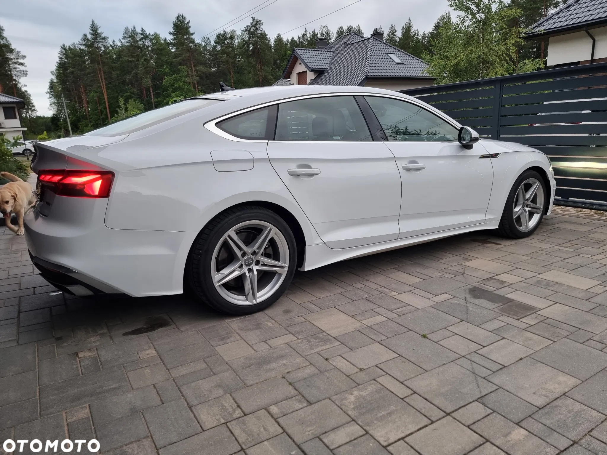 Audi A5 Sportback - 20
