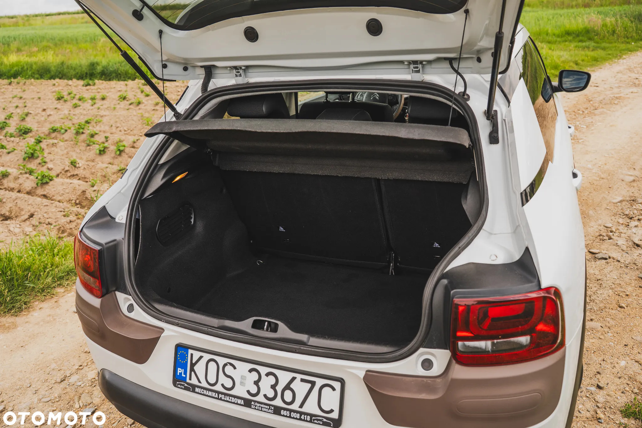 Citroën C4 Cactus - 12