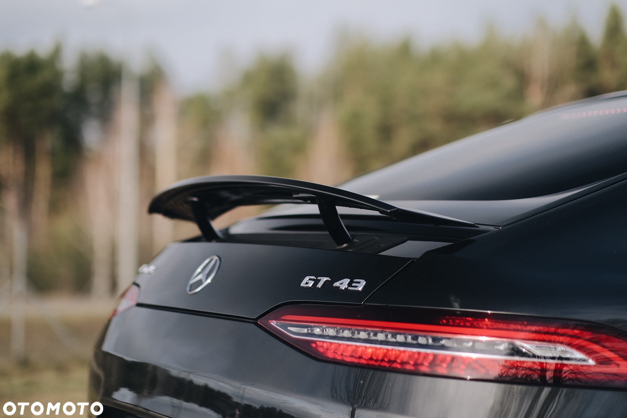 Mercedes-Benz AMG GT 43 4Matic+ Coupe 4D Speedshift TCT 9G - 19
