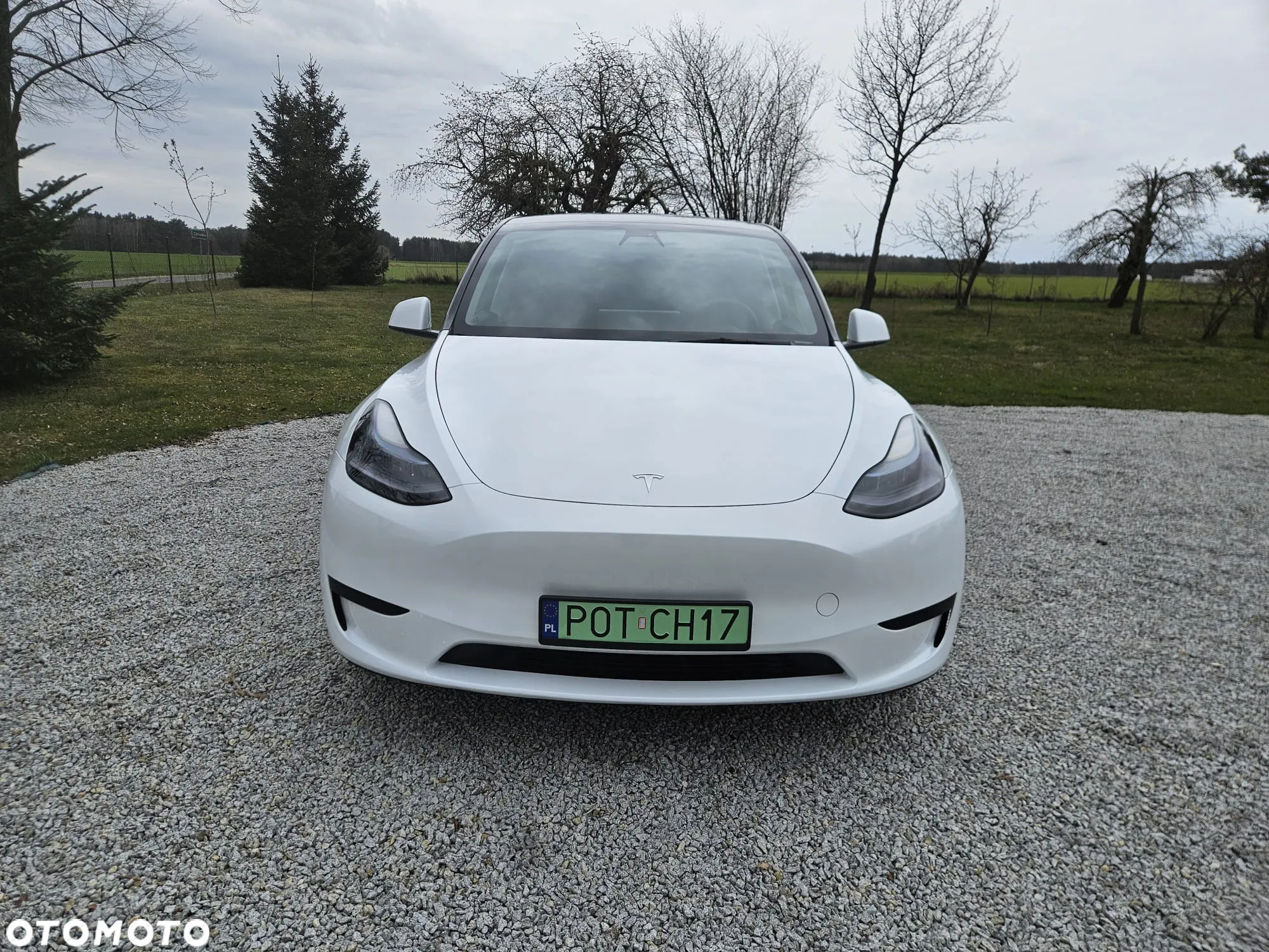 Tesla Y Model RWD - 6