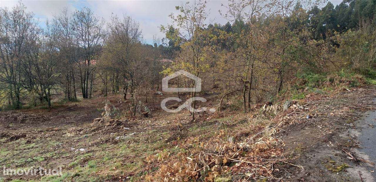 Vende-se Terreno de construção em Oliveira Sta Maria - Grande imagem: 5/9