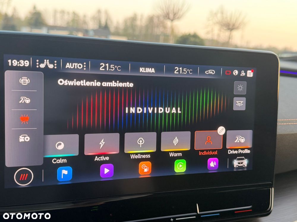 Cupra Formentor 1.5 TSI DSG - 21