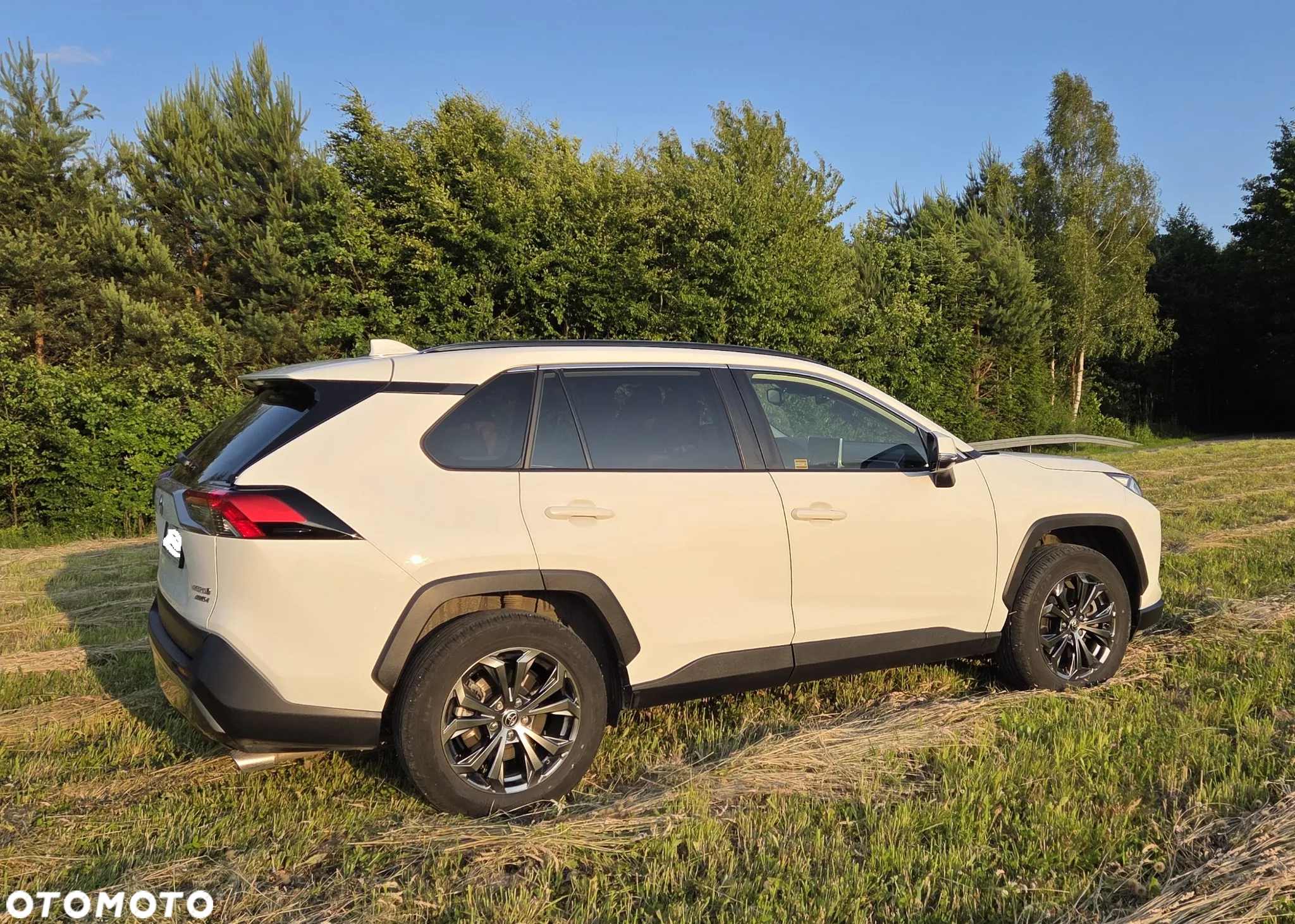 Toyota RAV4 2.5 Hybrid Comfort 4x4 - 10