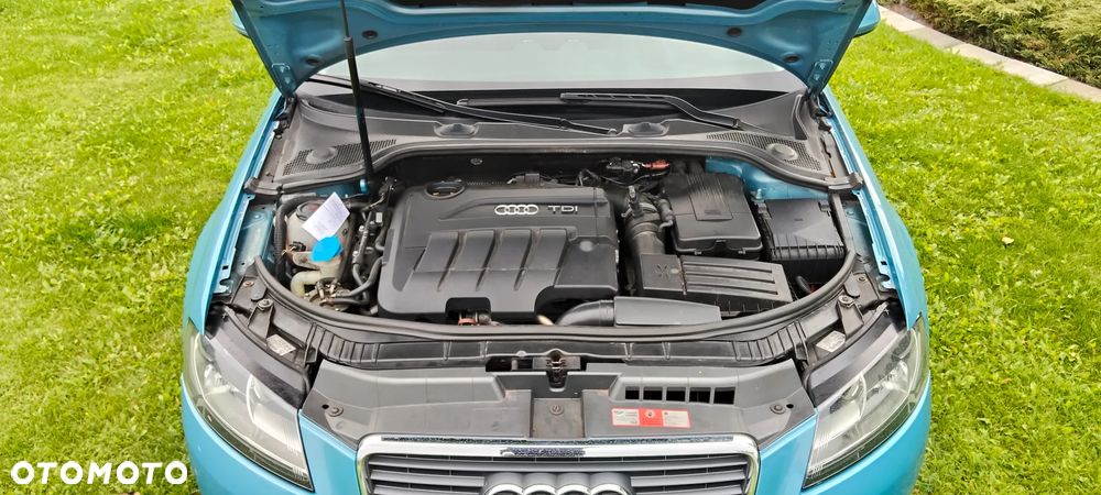 Audi A3 2.0 TDI DPF Quattro Ambition - 13