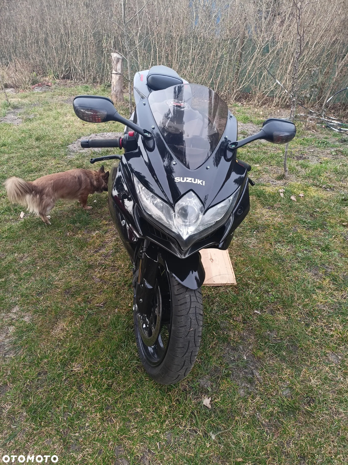 Suzuki GSX-R - 4