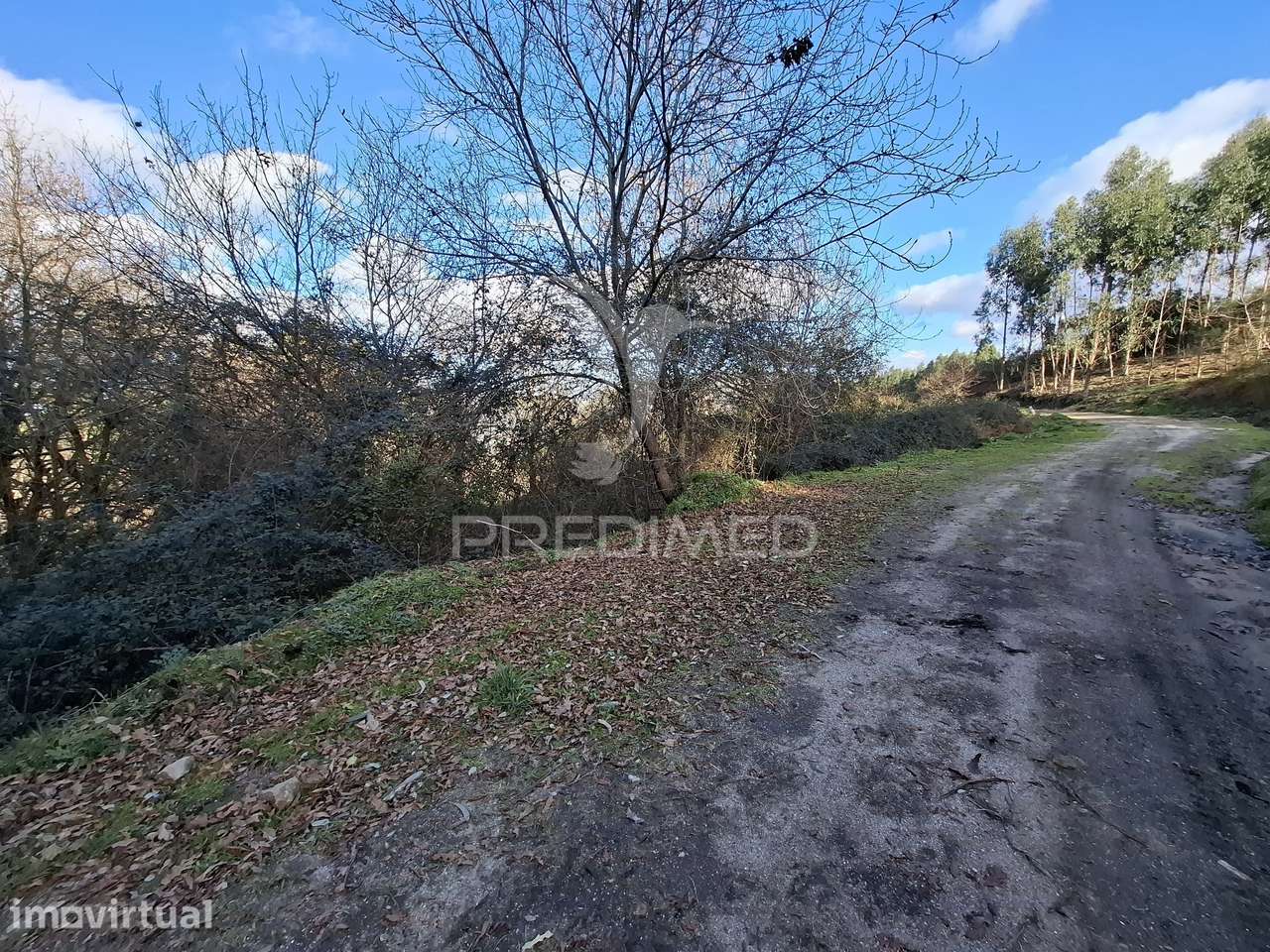 Terreno com 7900 m² em Codeceda, Vila Verde (Braga) - Grande imagem: 2/14